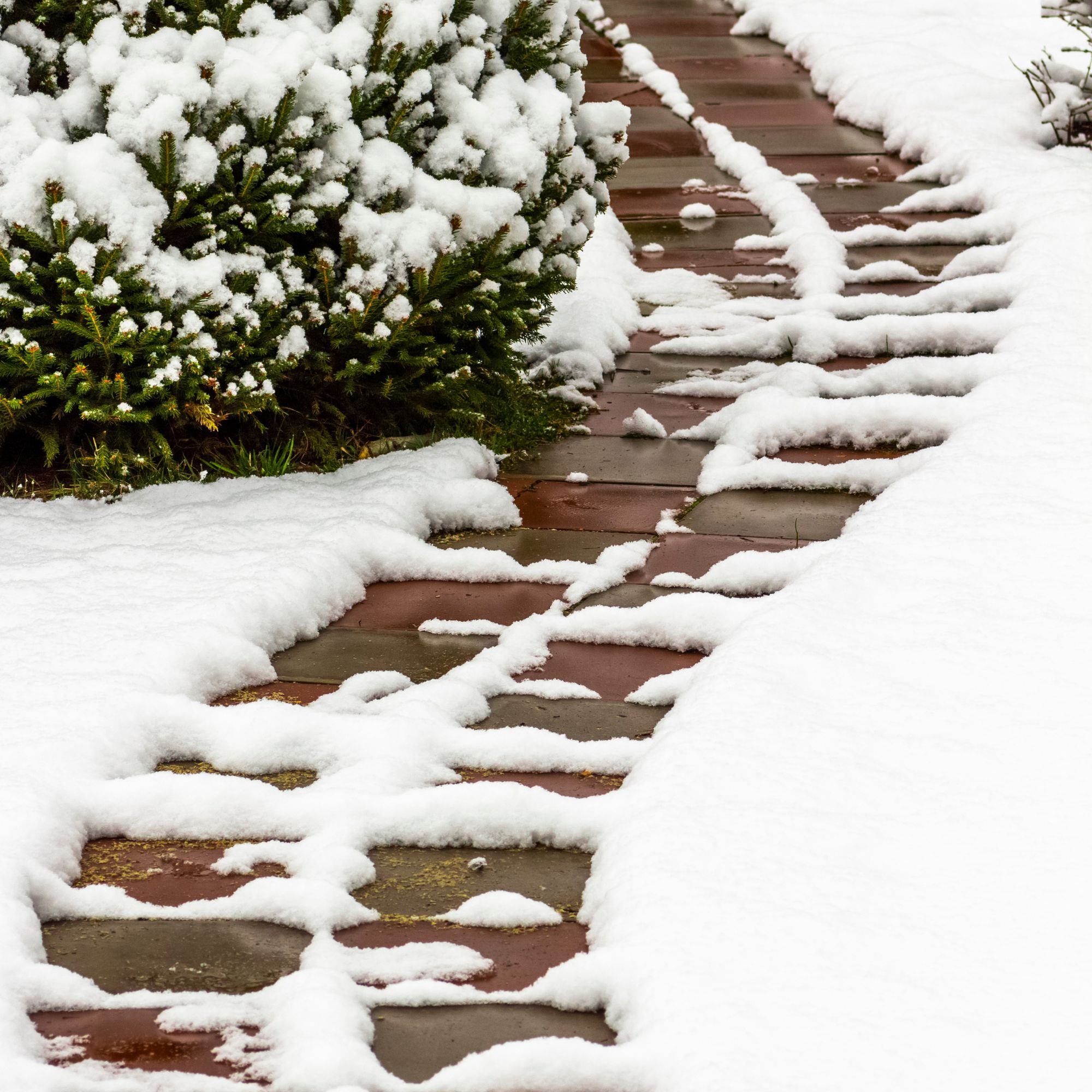 garden path with snow