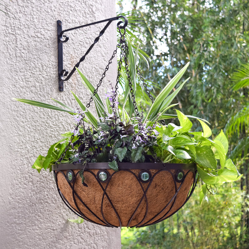 August Grove&amp;reg; Rodden Metal Hanging Planter &amp;amp; Reviews | Wayfair