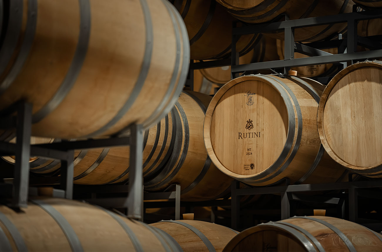 The barrel room at Rutini Wines.