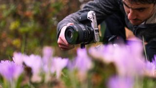 Person holding a camera and looking through the viewfinder to capture a meadow with pink flowers