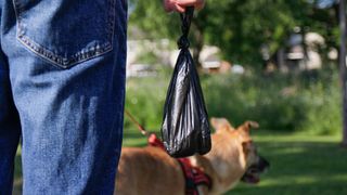 Person holding bag of dog poop