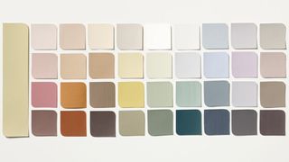 Dulux Colour of the Year 2023 color palette