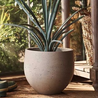 concrete planter from anthropologie