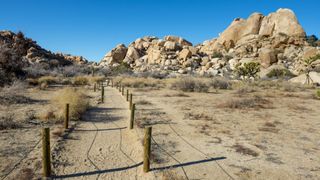 A sandy hiking trail in Joshua Tree National Park
