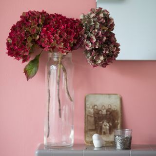 Pink-painted wall with a clear vase of red flowers