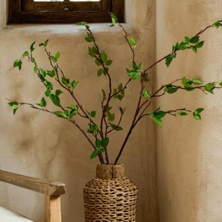 A green branch in a woven pot from Magnolia Home