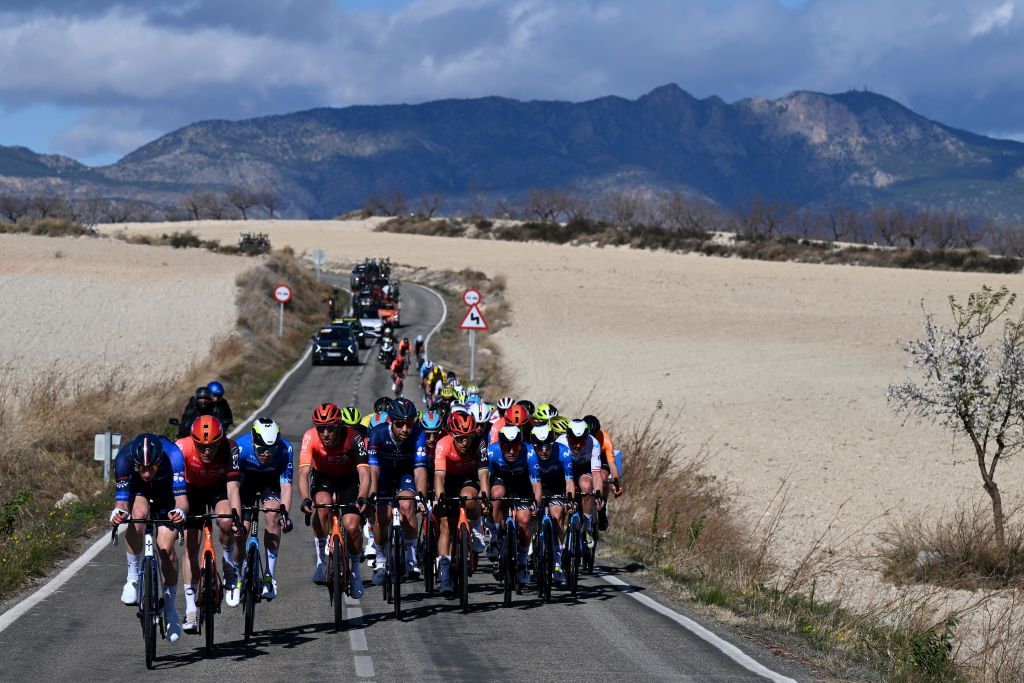 Lewis Askey (Groupama-FDJ), Salvatore Puccio (Ineos Grenadiers), Remi Cavagna (Movistar) lead the peloton