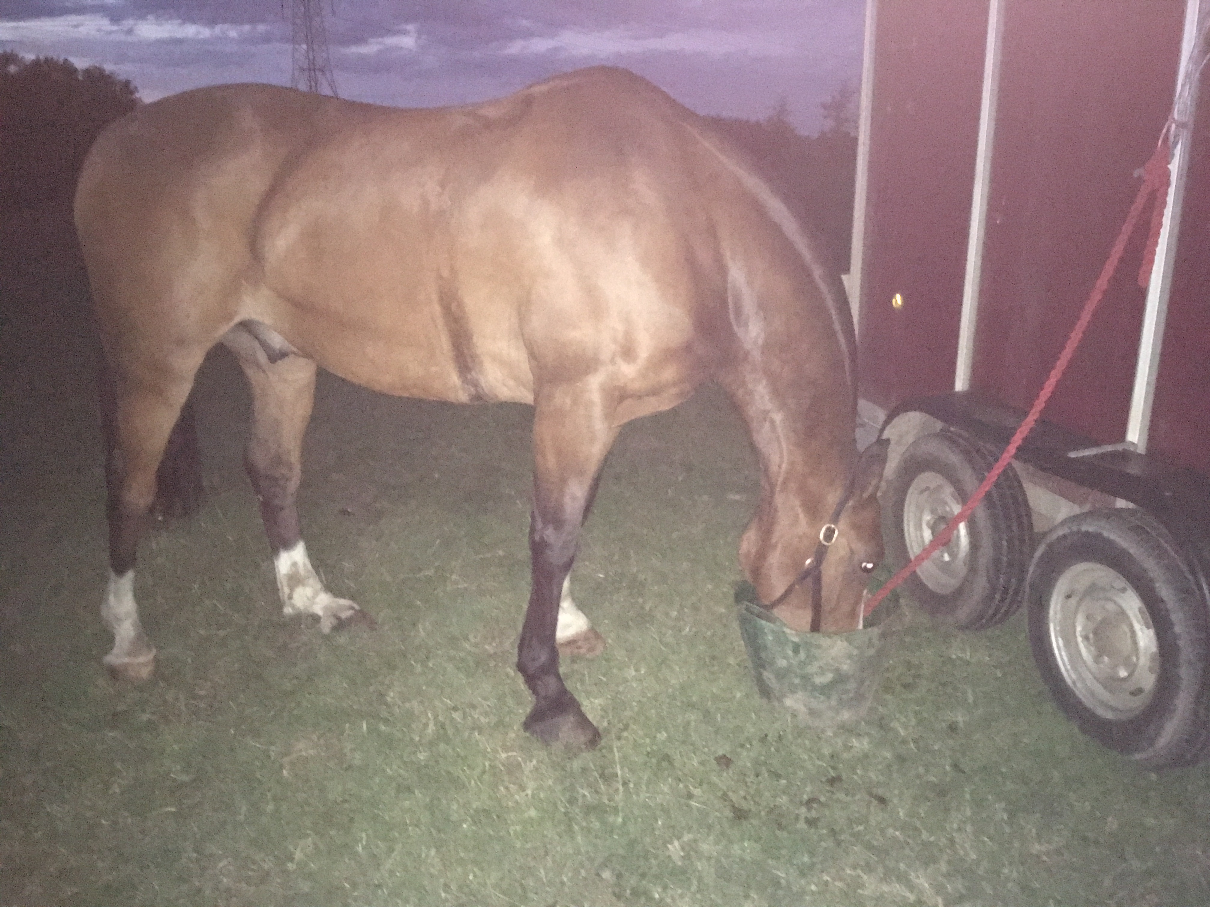 Unknown-8.jpeg