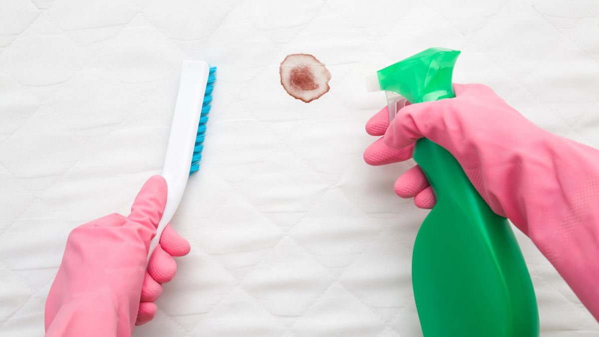 How to remove urine stains from a mattress Top Ten Reviews