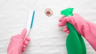How to remove urine stains from a mattress