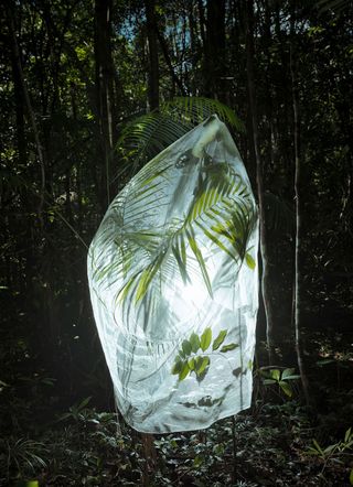 Cristina De Middel, Mata Atlántica forest, Brazil. 2020. From the project ‘Boa Noite Povo’ . © Cristina De Middel and Bruno Morais
