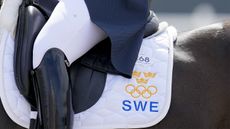 GettyImages-2164774725.jpg