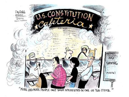 Political cartoon constitution