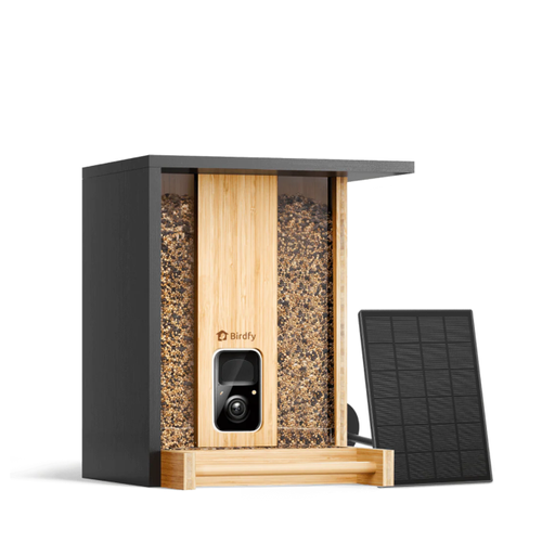 Feeder Bamboo