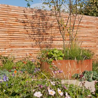 a large planter made from corten steel filled with a tree and shrubbery against a horizontal slatted fence