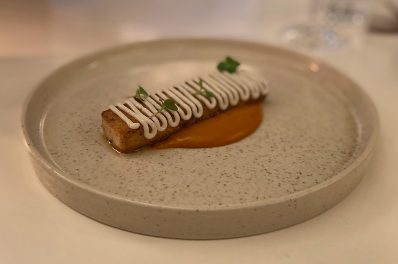 A piece of salmon on a plate