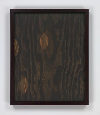 Dark brown frame with wood design art photographer against a white background