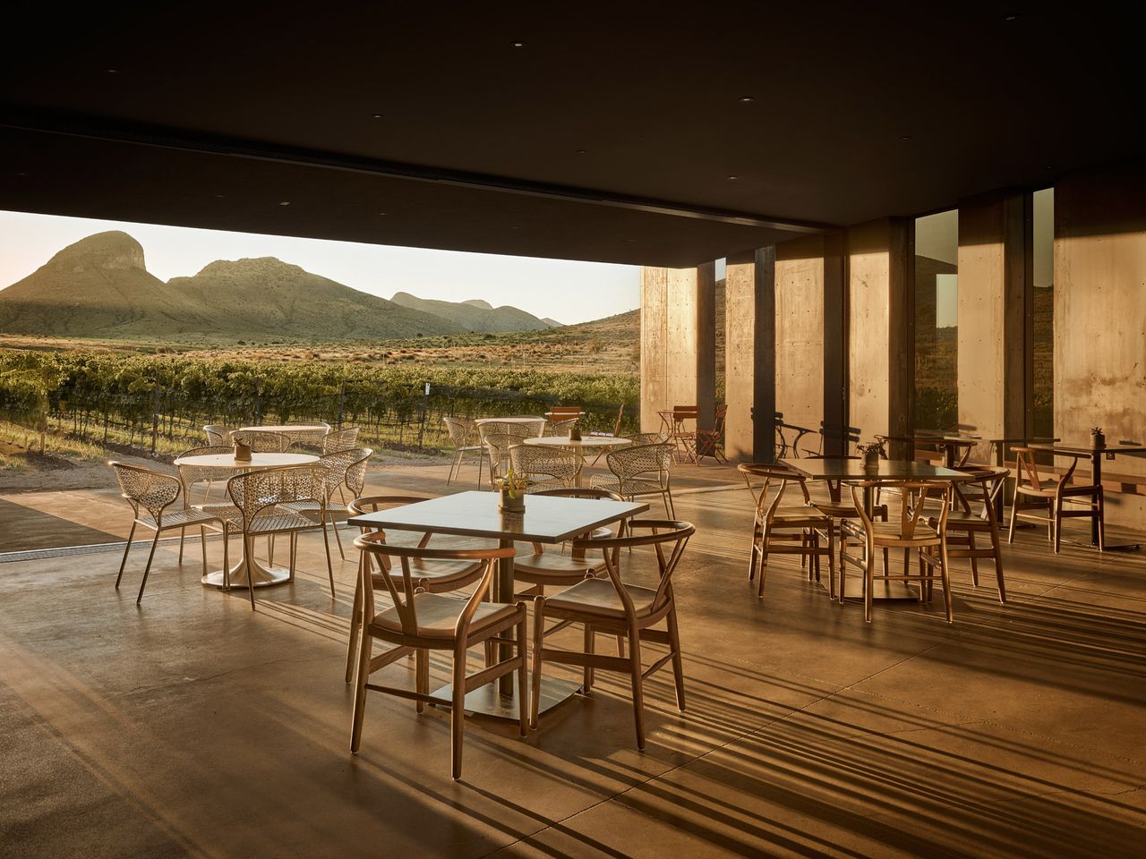 Los Milics winery in Elgin, Arizona is an architectural marvel | Wallpaper*