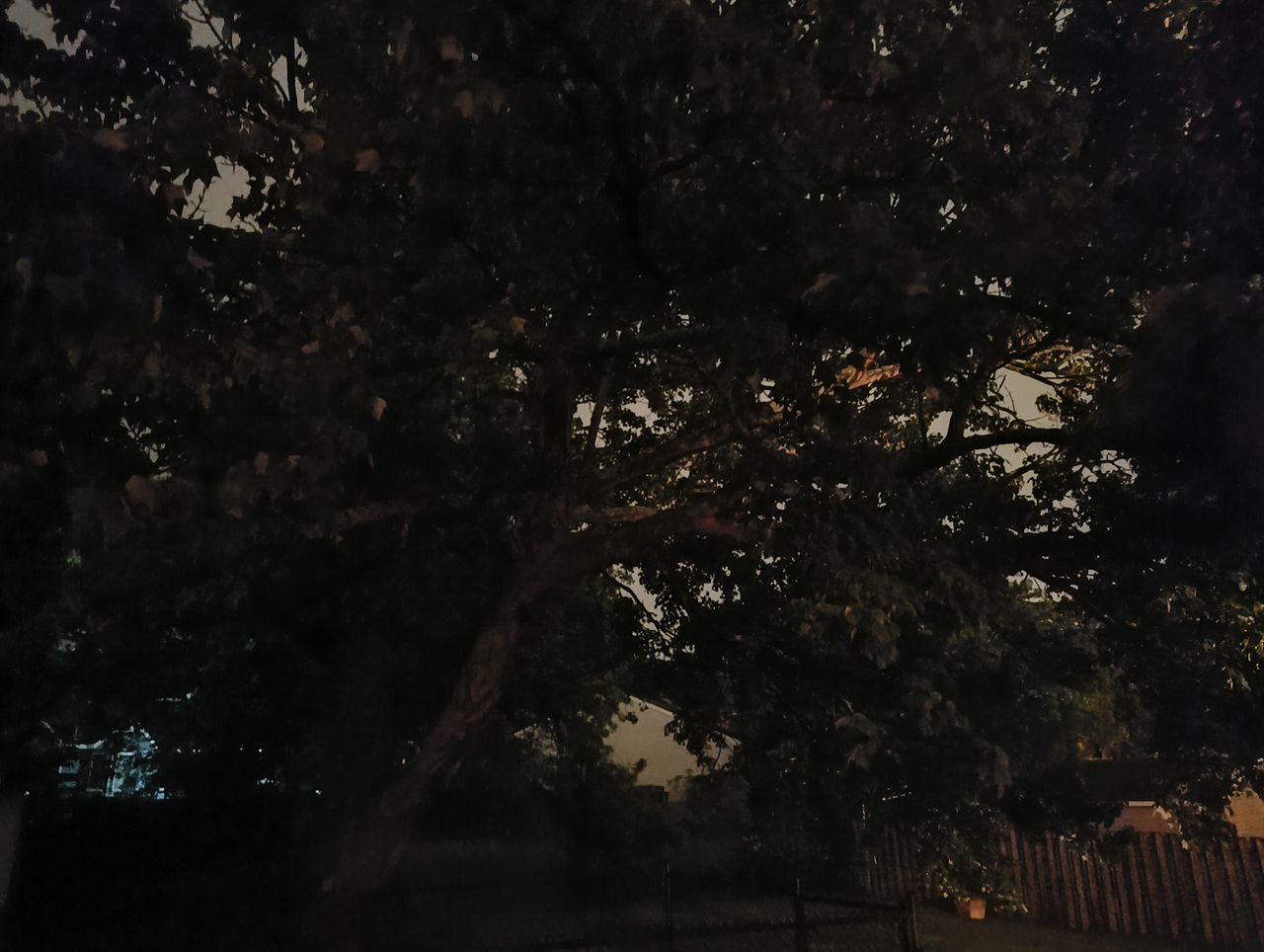 Nothing Phone 2a low light sample.