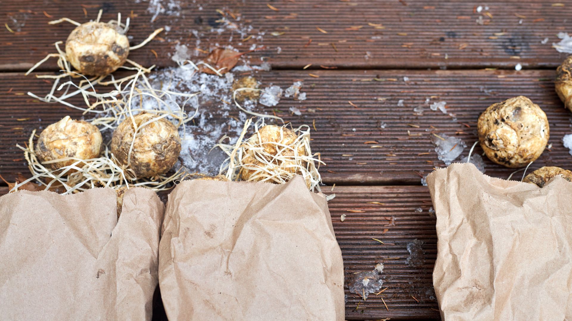 picture of bulbs in paper bags with straw