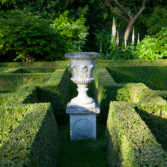 garden with tree and plant