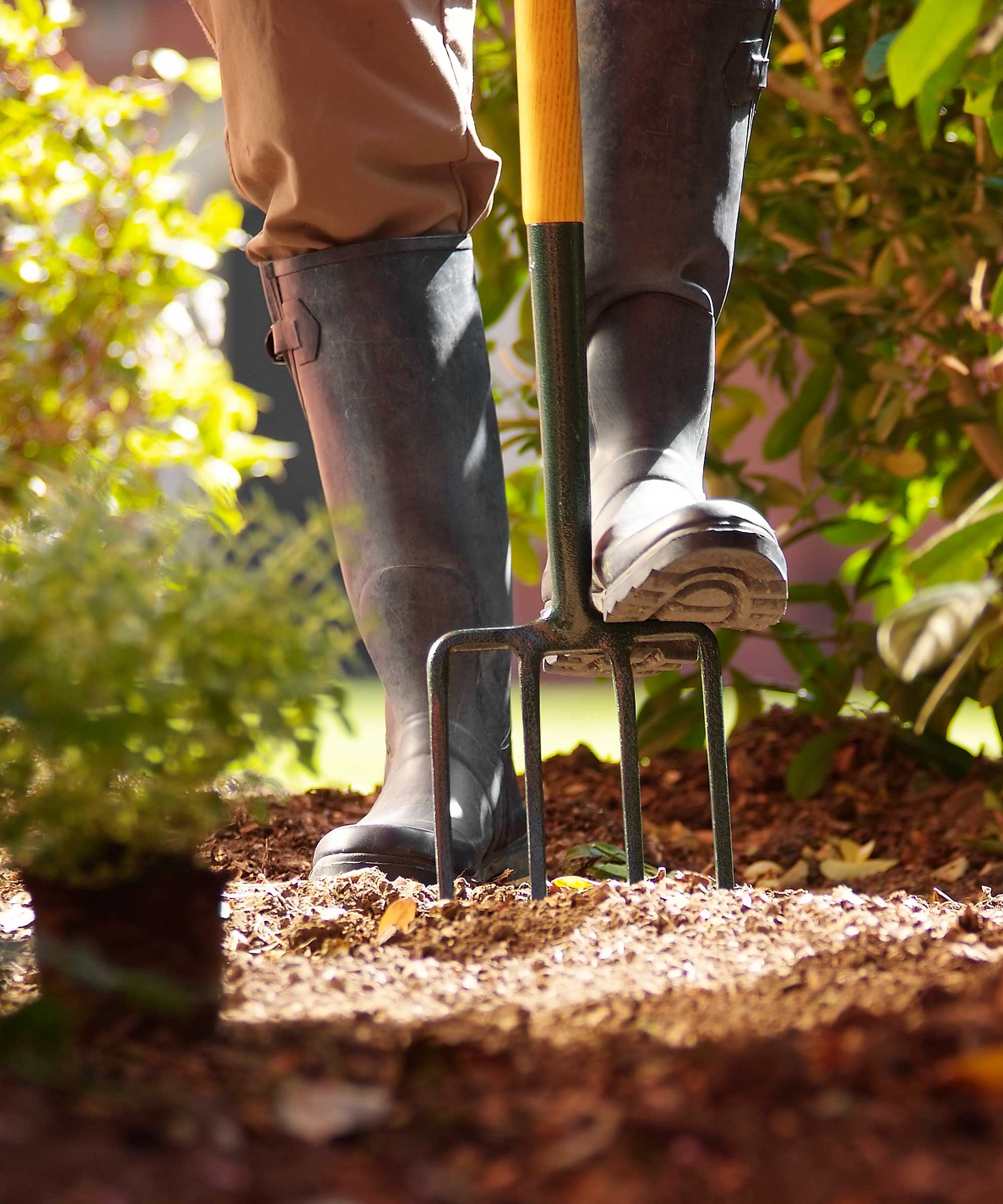 digging in garden