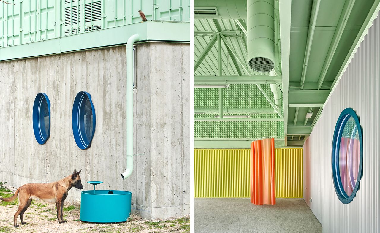 Dog at rainwater trough, and interior of Educan School for Dogs in Spain, an example of animal architecture