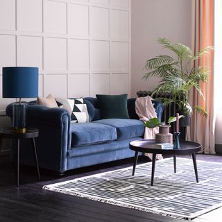 Blue velvet sofa in front of a pastel coloured panelled wall with potted plants and a coffee table
