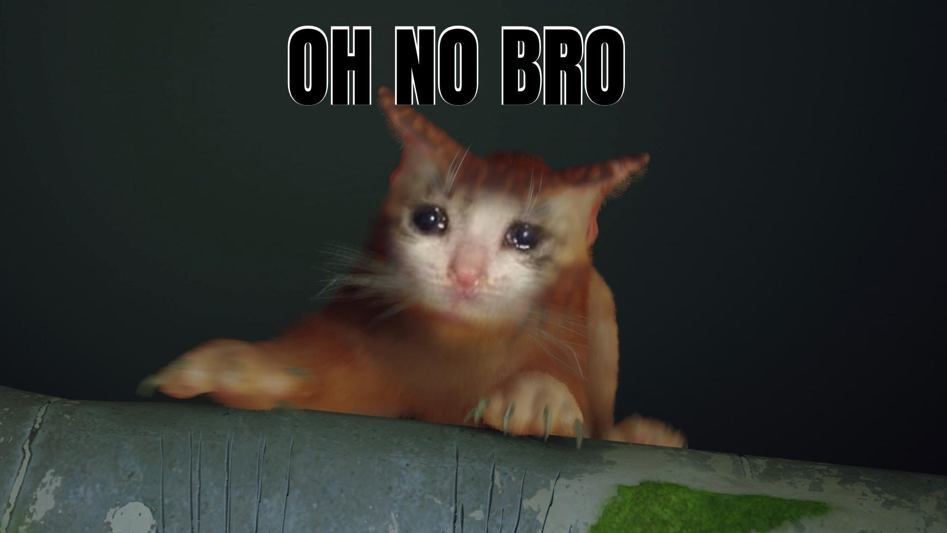 Cat slides off a ledge, with the sad cat meme edit and text overlay 