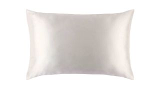 Slip Silk Pillowcase, one of w&h's best silk pillowcases