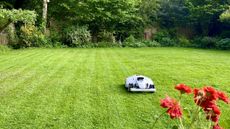 Mammotion LUBA 2 AWD on UK lawn