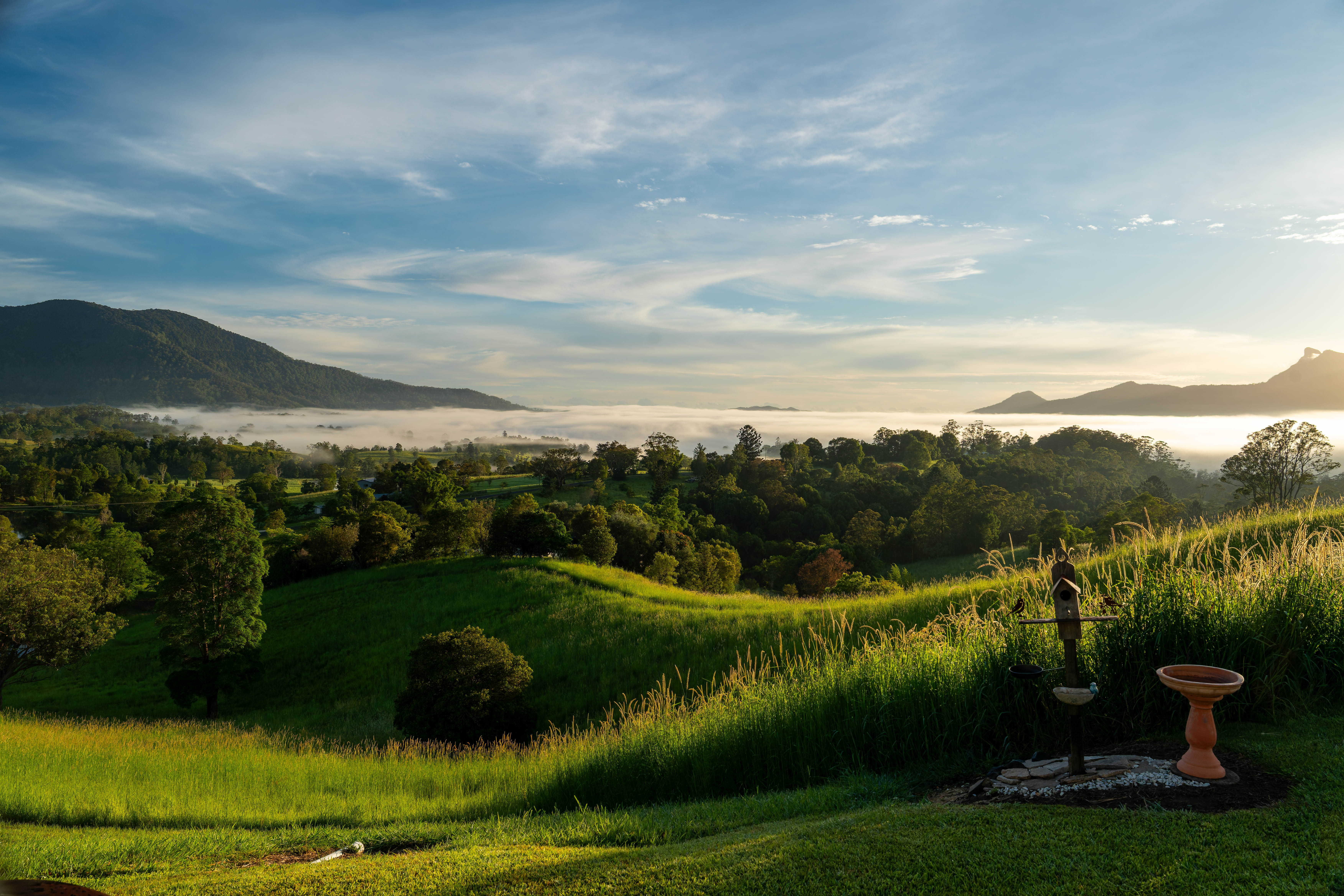 GuruShots - Nature&rsquo;s Masterpiece 2026