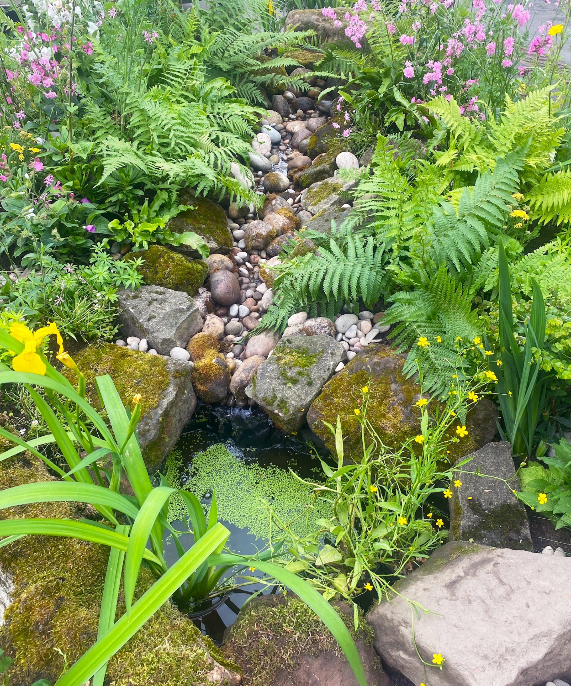 natural garden water feature