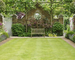 Elegant garden with lush green lawn, bench and espaliered trees