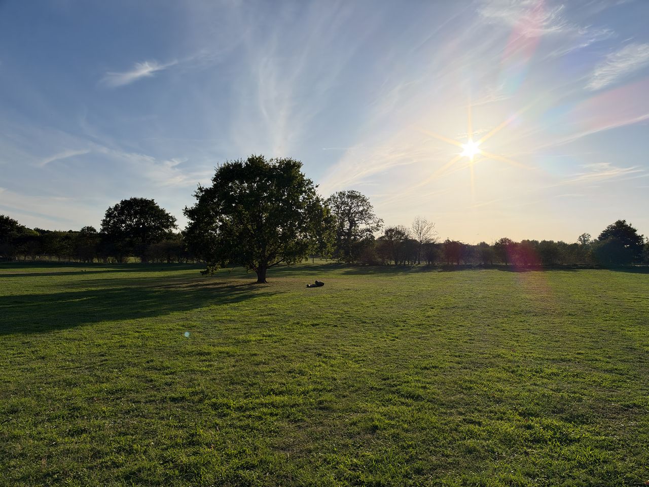 iPhone 18 Pro test image