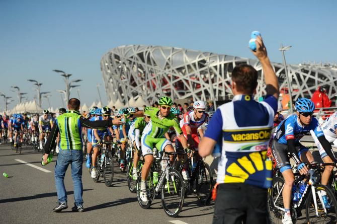 The feedzone by the birds nest