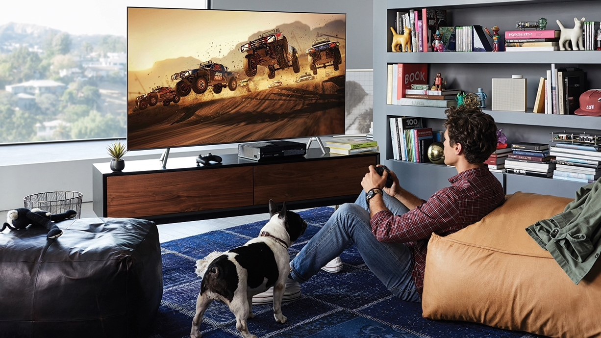 A man playing a game on a large TV with a small dog