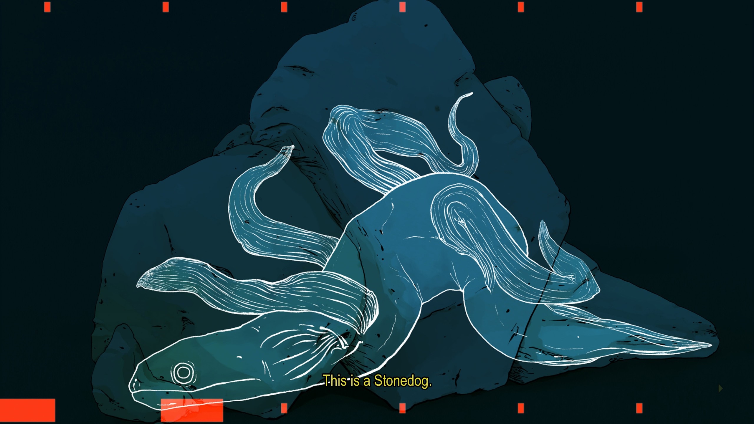 X-ray of eel-type creature hiding in rocks