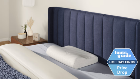 Tempur-Pedic Tempur-Neck Pillow