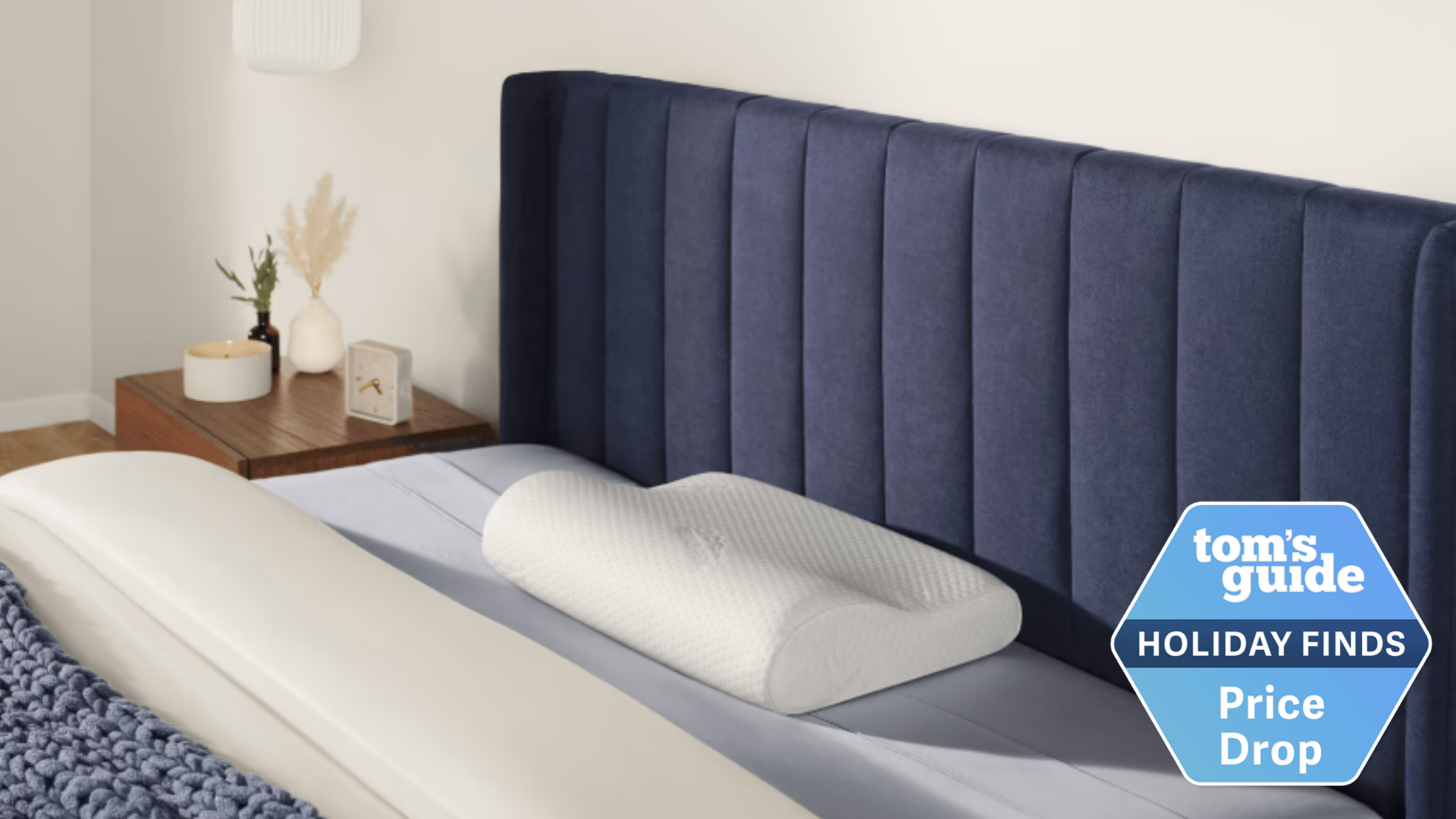 Tempur-Pedic Tempur-Neck Pillow