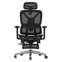 Flexispot ErgoX Flexispot ErgoX