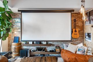 Screen projector in living room with potted plants
