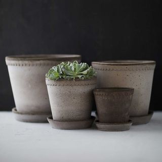 grey themed ceramic planter set of four 