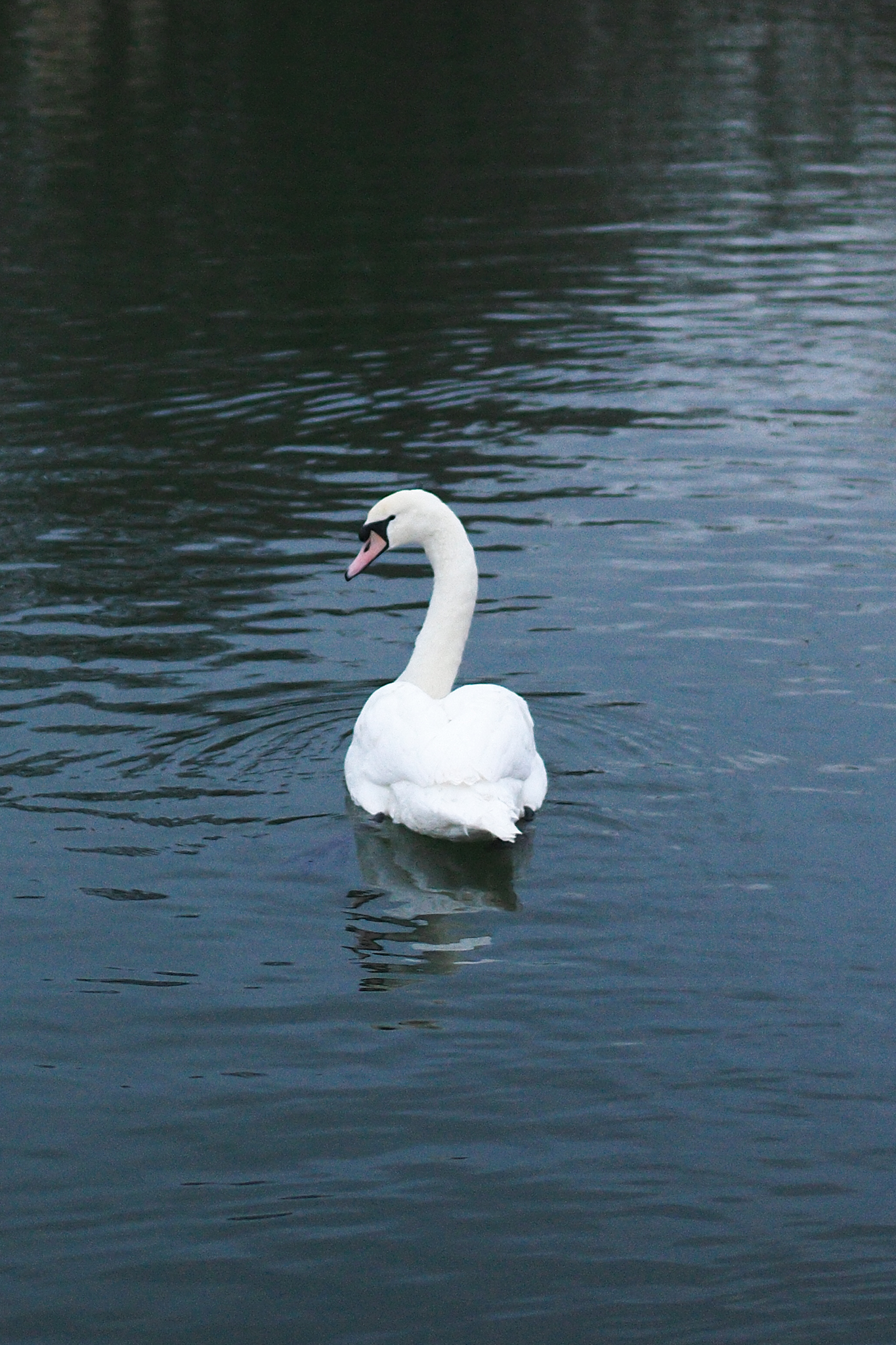 A photo taken on a Leica M EV1 camera