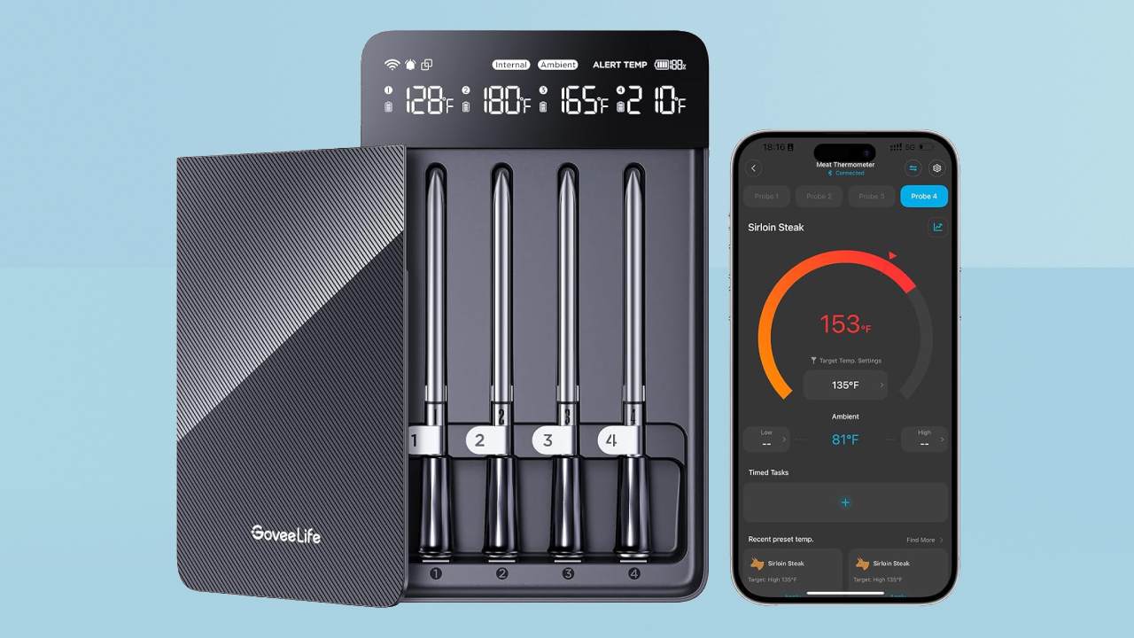 GoveeLife Meat Thermometer