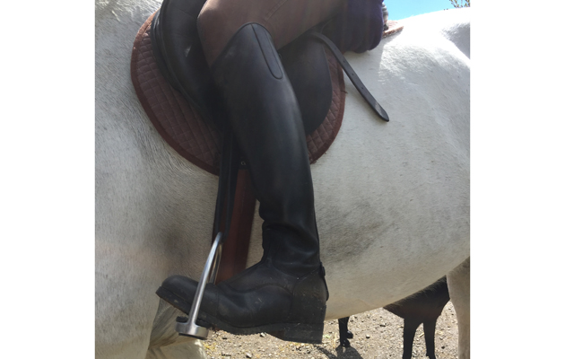 TT Harry Hall Edlington Riding Boot 1