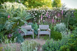 Cottage backyard ideas - tall flowers