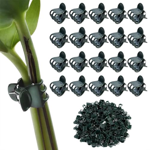100pcs Plant Clips, Green Orchid Clips, Plastic Plant Support Clips, Garden Plants Clips for Climbing Plants, Climbing Plant Clips for Orchids Tomatoes Peppers Seedlings Grape Vines