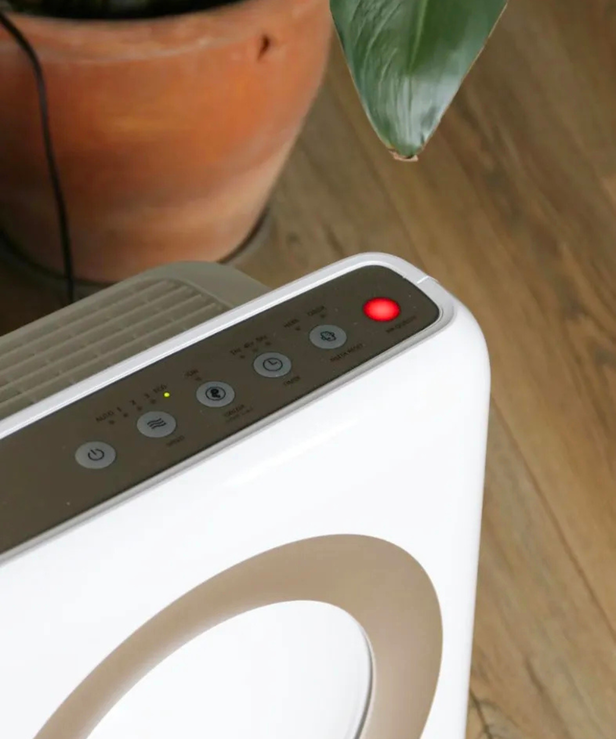 Coway Airmega Mighty air purifier with plant pot and wooden floor in background.