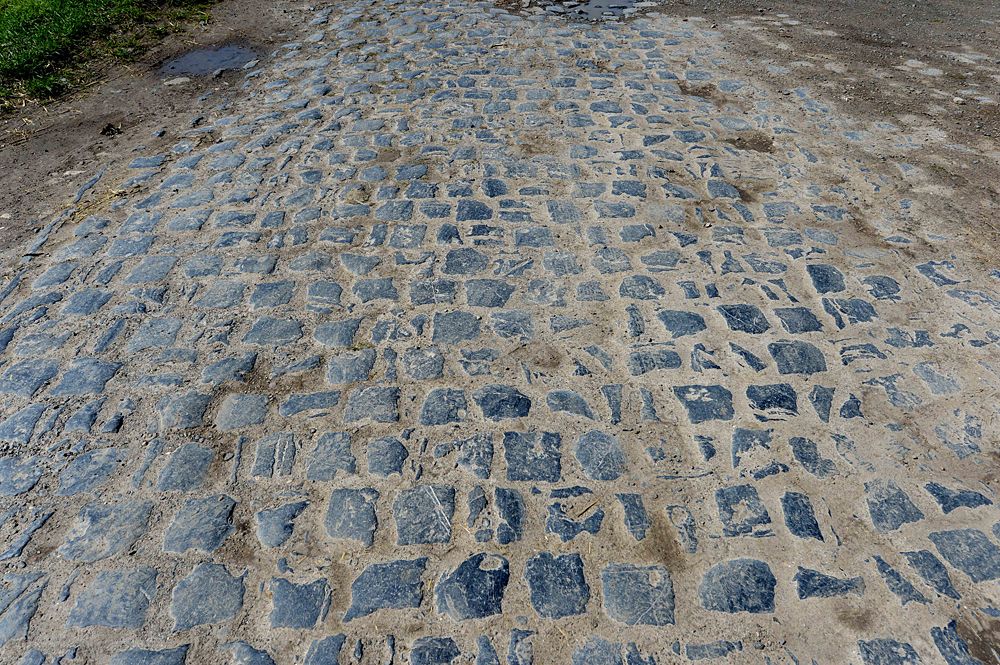 Movistar training on the Paris-Roubaix cobbles as recon for stage 9 at the Tour de France
